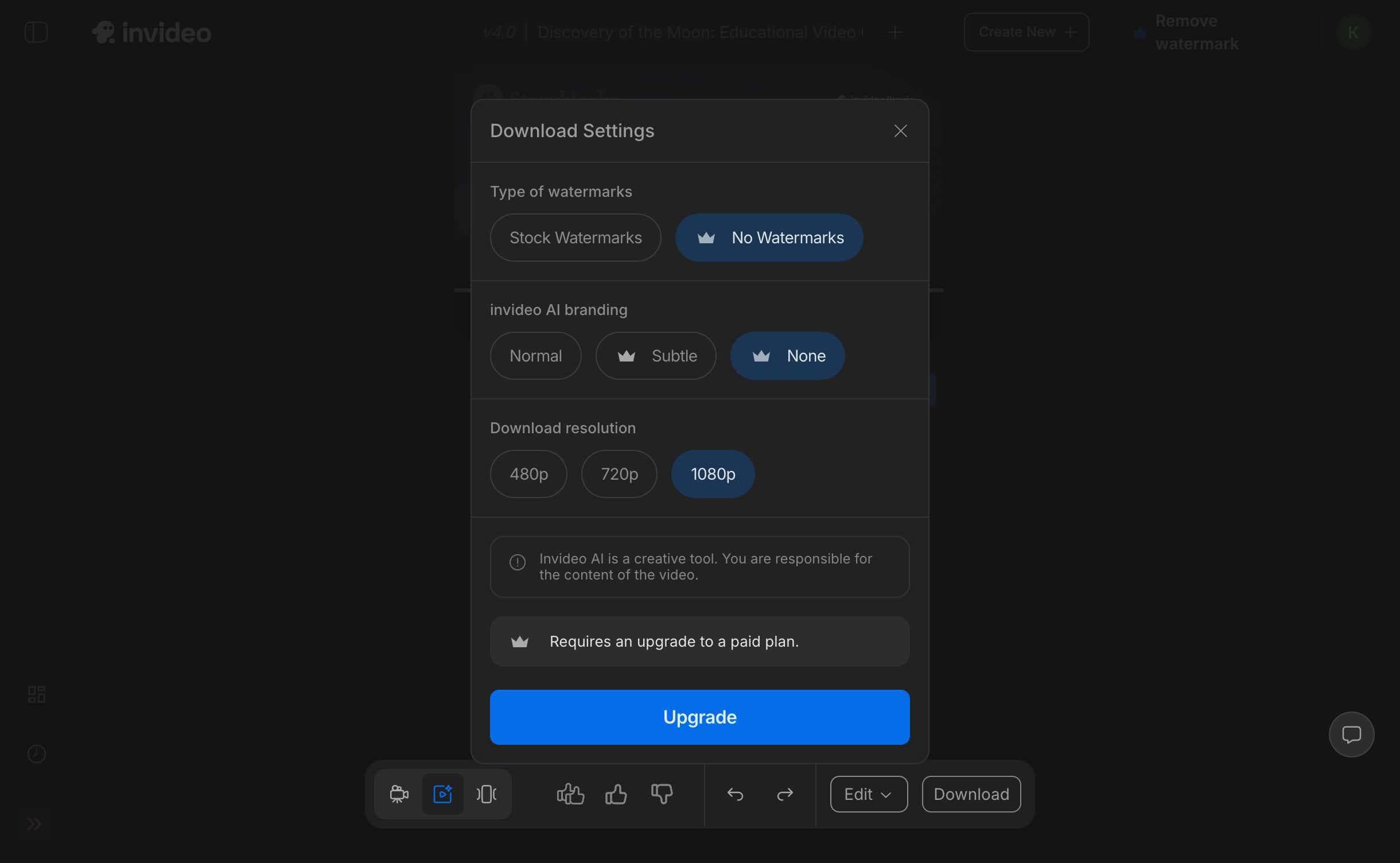 InVideo Download Options