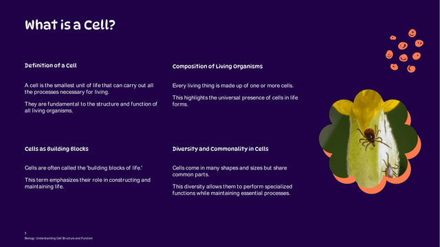 Biology: The Cell Structure (Grade 7) template slide 5 preview