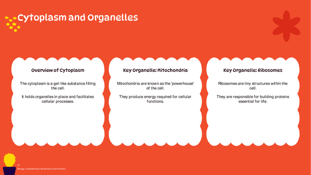 Biology: The Cell Structure (Grade 7) template slide 10 preview