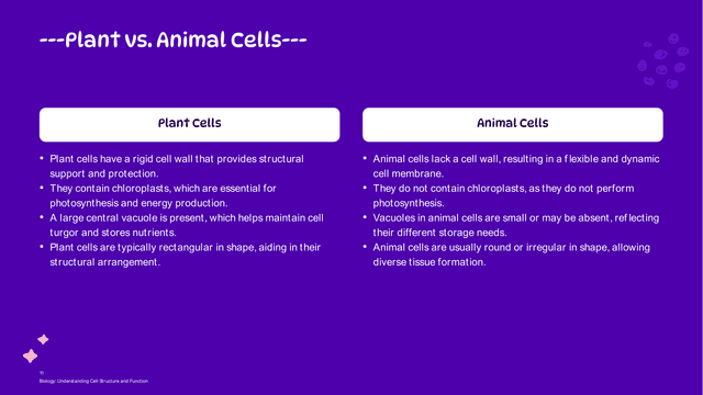 Biology: The Cell Structure (Grade 7) template slide 11 preview
