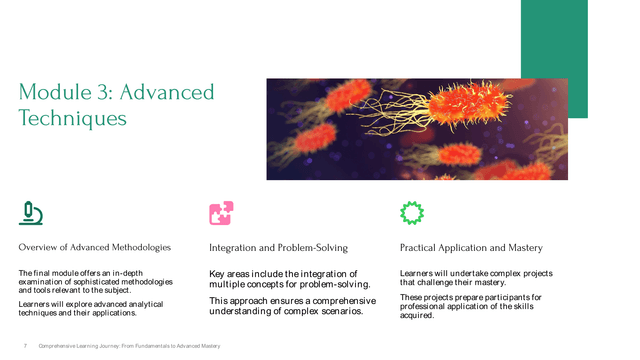 Educational Course Slides template slide 7 preview