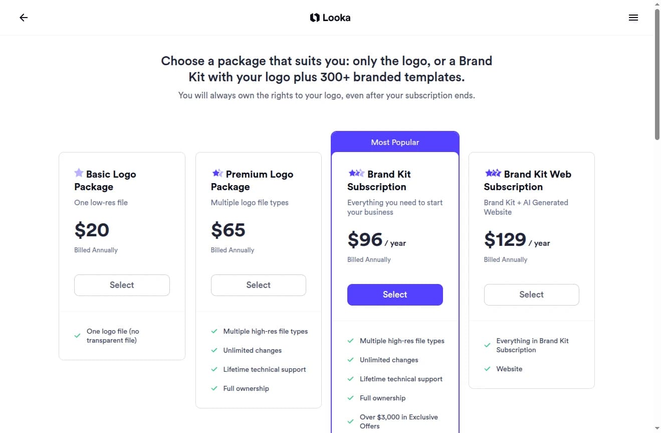 Looka Pricing Options