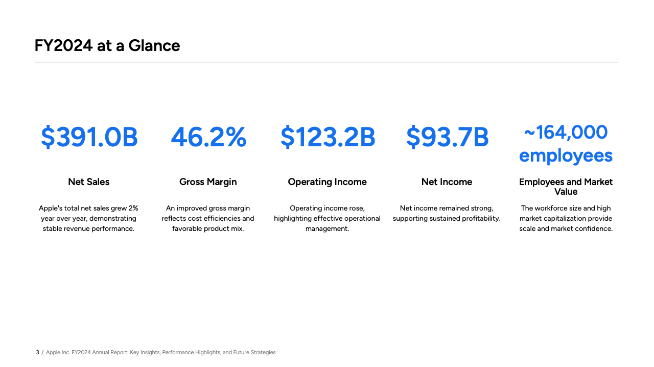 FY2024 at a glance slide with net sales, gross margin, and net income figures