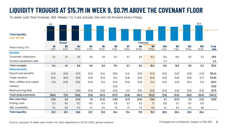 Alvarez & Marsal Style 13-week cash flow slide