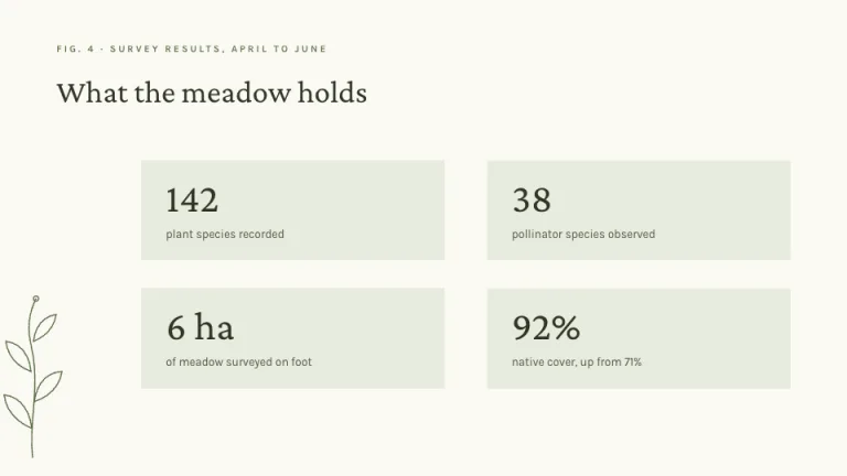 Herbarium Key metrics slide