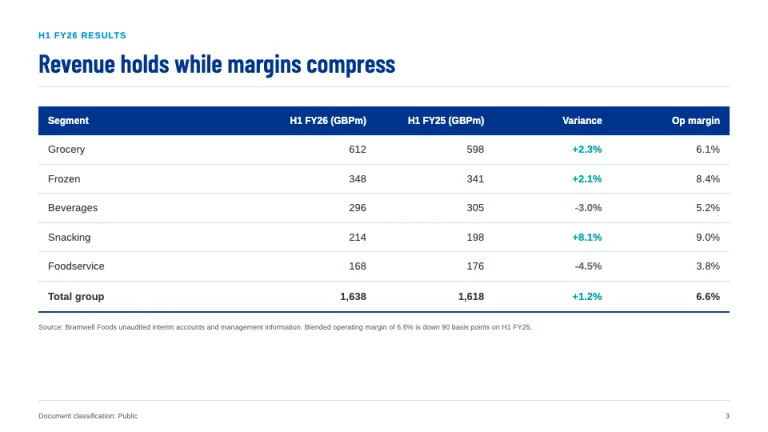 KPMG Style Audit summary table slide