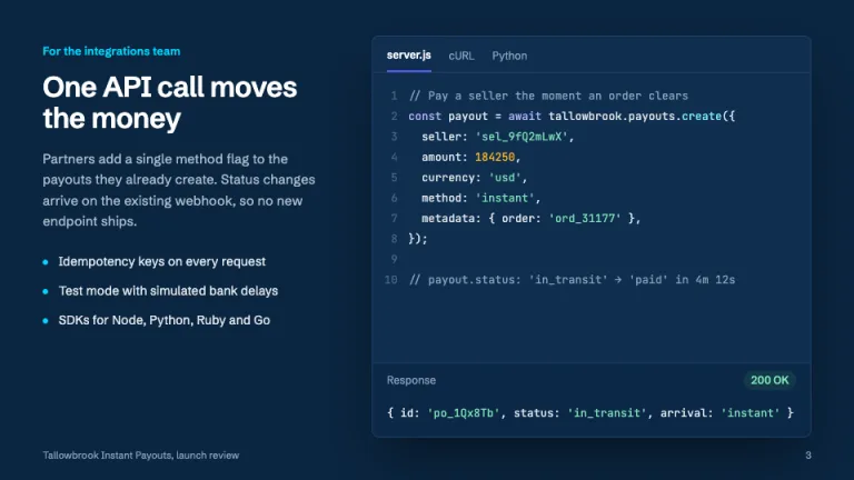 Stripe Style Developer API slide