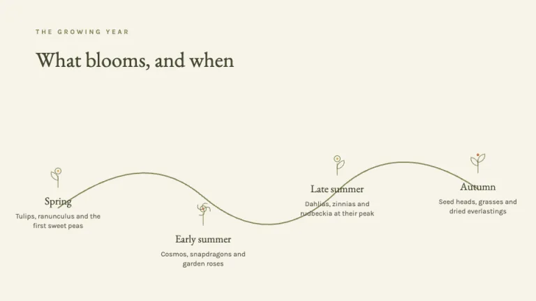 Wildflower Seasonal timeline slide